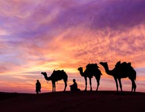 黄昏瑰丽云彩沙漠自然风光摄影图片