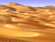 一望无际的沙漠沙丘风光摄影图片