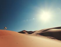 耀眼阳光下的美丽沙漠风光摄影图片