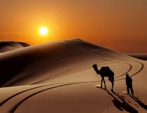夕阳下行走在沙漠的男人摄影图片