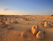 美丽沙丘上的石砂自然景观摄影图片