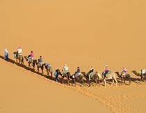 荒凉沙漠中骑着骆驼的人群摄影图片