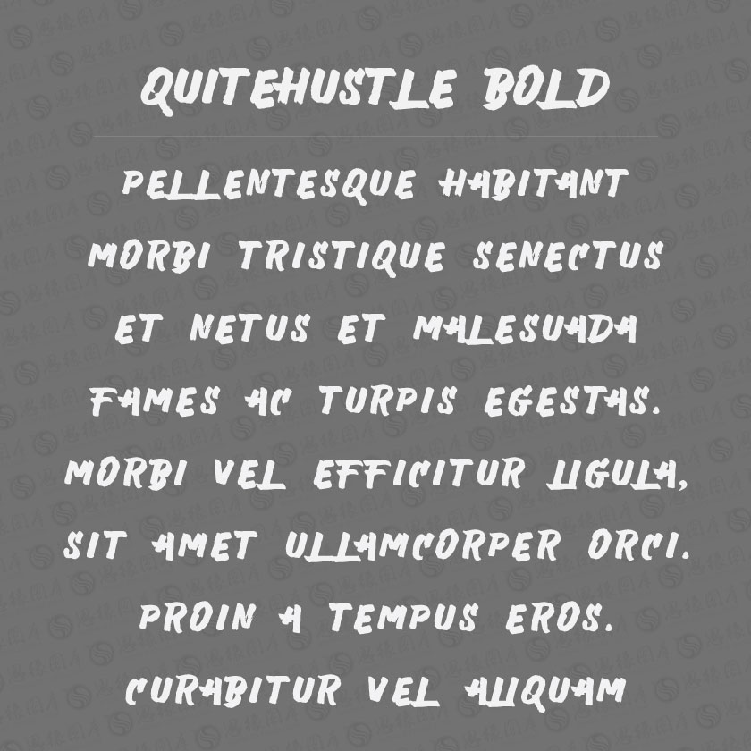QuiteHustle-Bold(Ӣ)