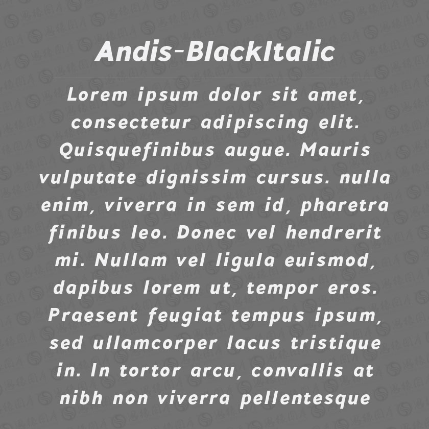 Andis-BlackItalic(Ӣ)