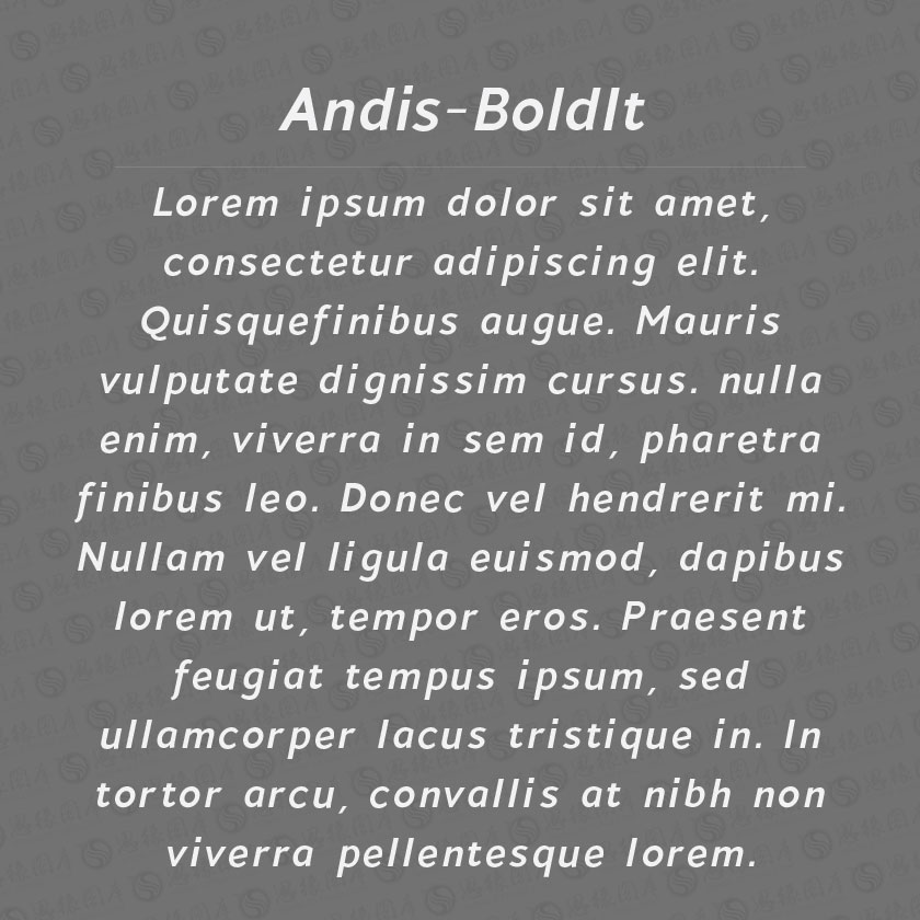 Andis-BoldItalic(Ӣ)