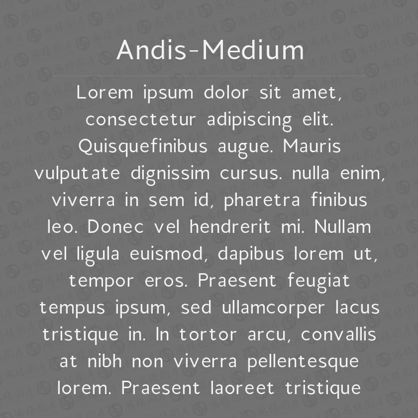 Andis-Medium(Ӣ)