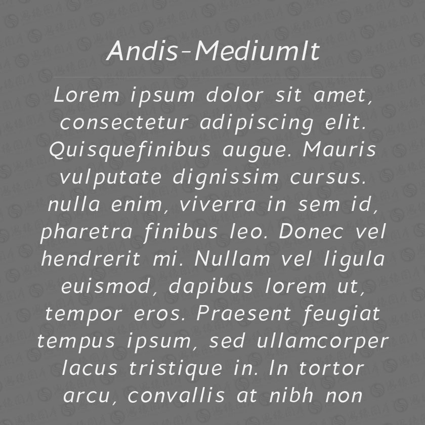 Andis-MediumItalic(Ӣ)