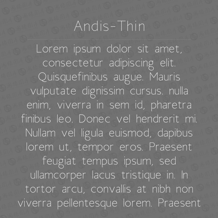 Andis-Thin(Ӣ)