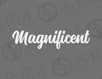 Magnificent(Ӣ)