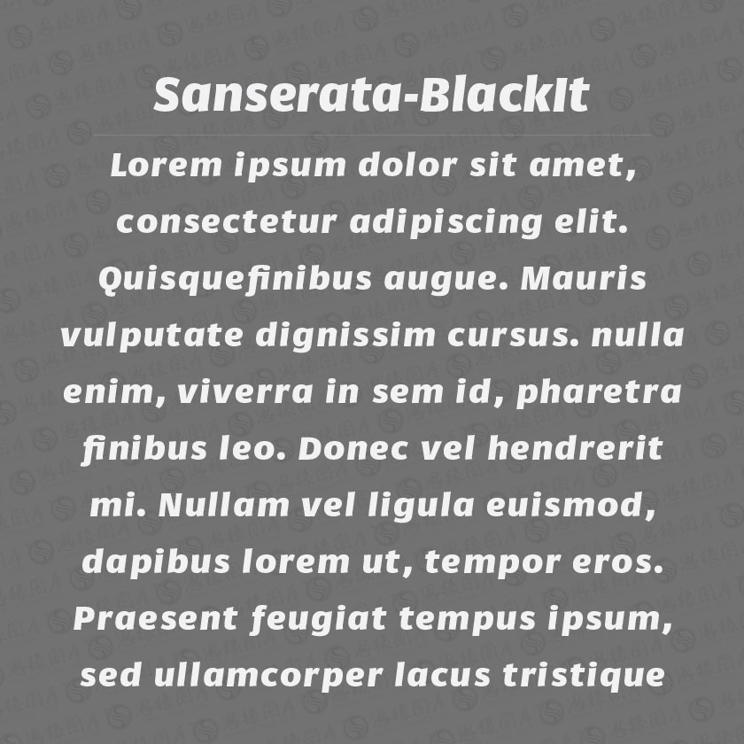 Sanserata-BlackItalic(Ӣ)