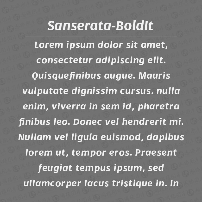 Sanserata-BoldItalic(Ӣ)