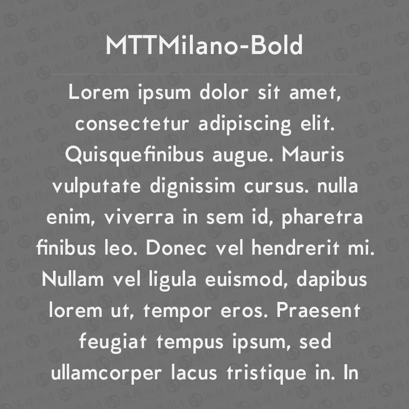 MTTMilano-Bold(Ӣ)