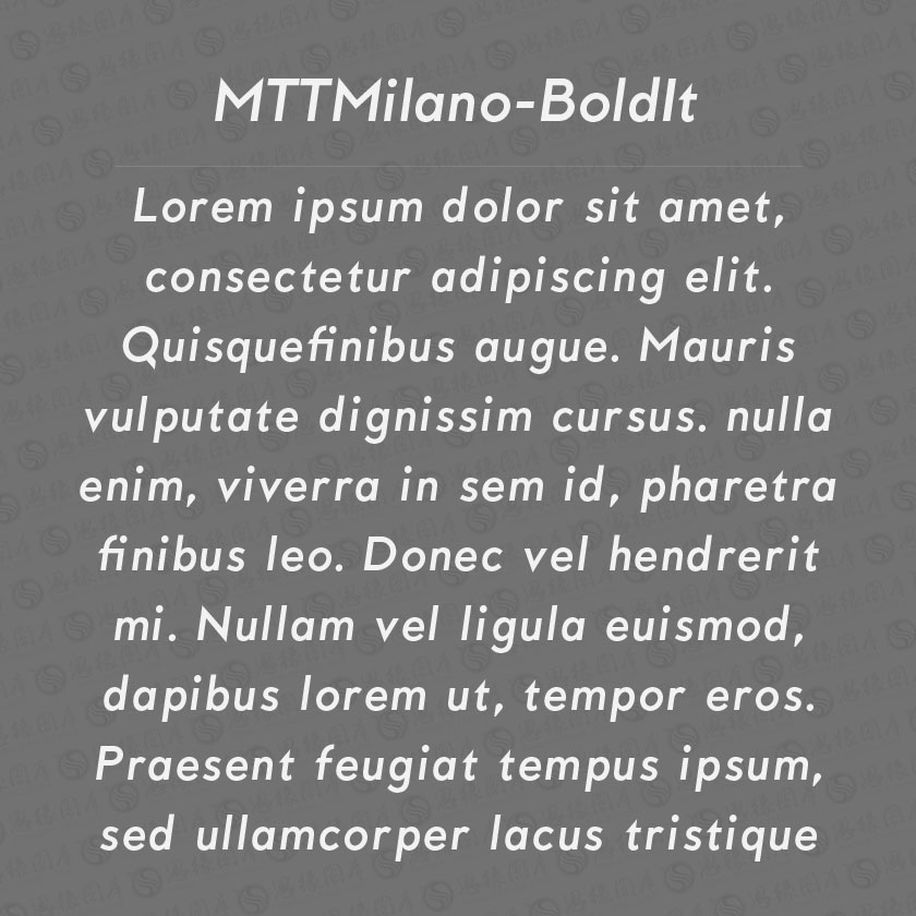 MTTMilano-BoldItalic(Ӣ)