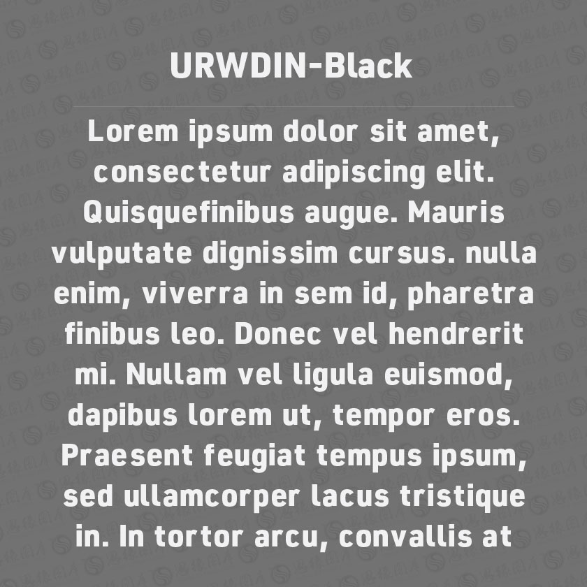 URWDIN-Black(Ӣ)