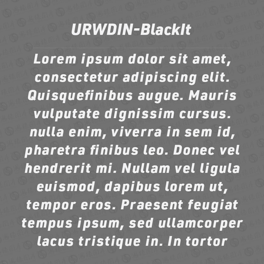 URWDIN-BlackItalic(Ӣ)