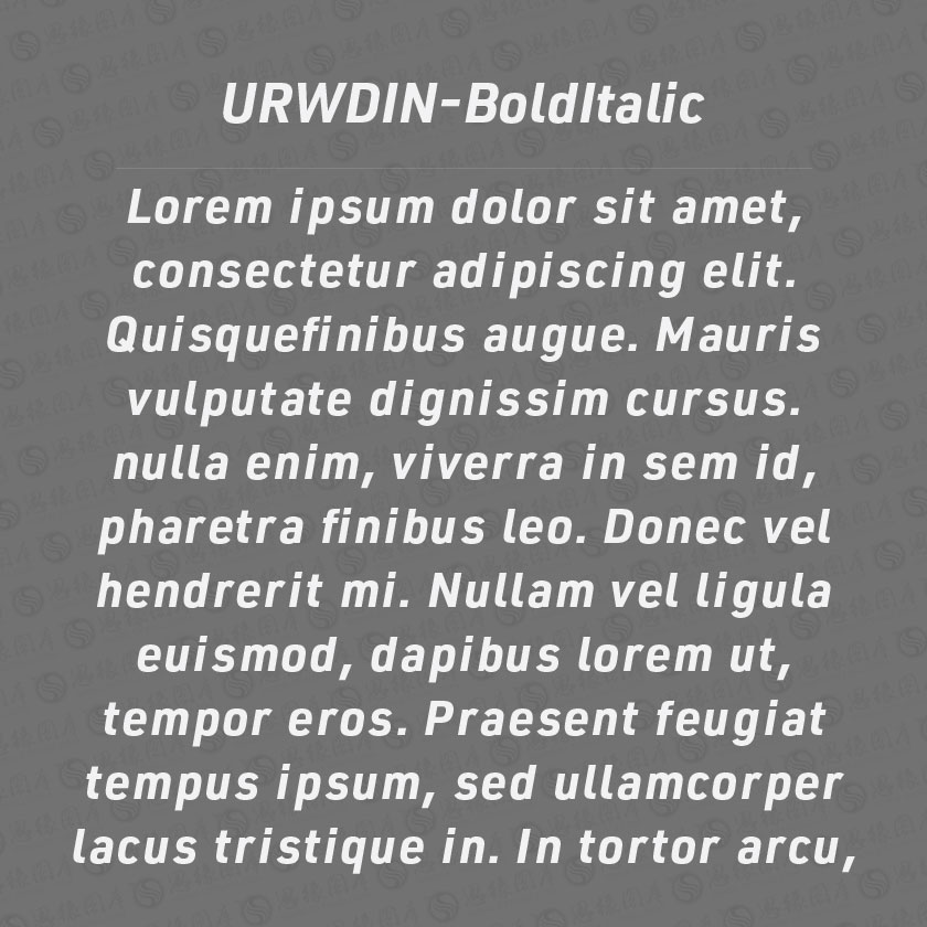 URWDIN-BoldItalic(Ӣ)