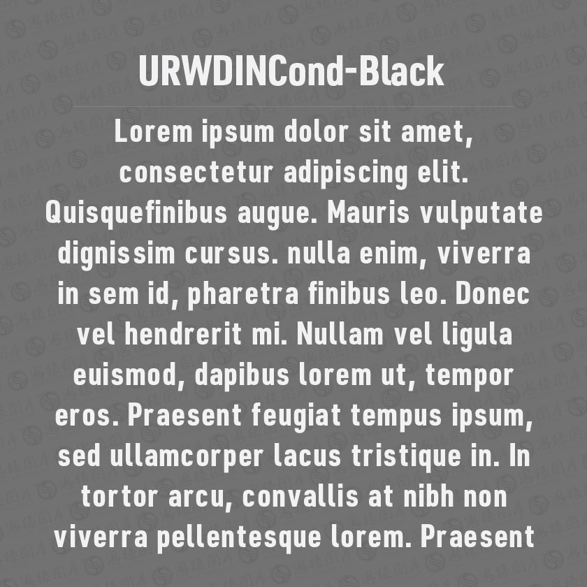 URWDINCond-Black(Ӣ)