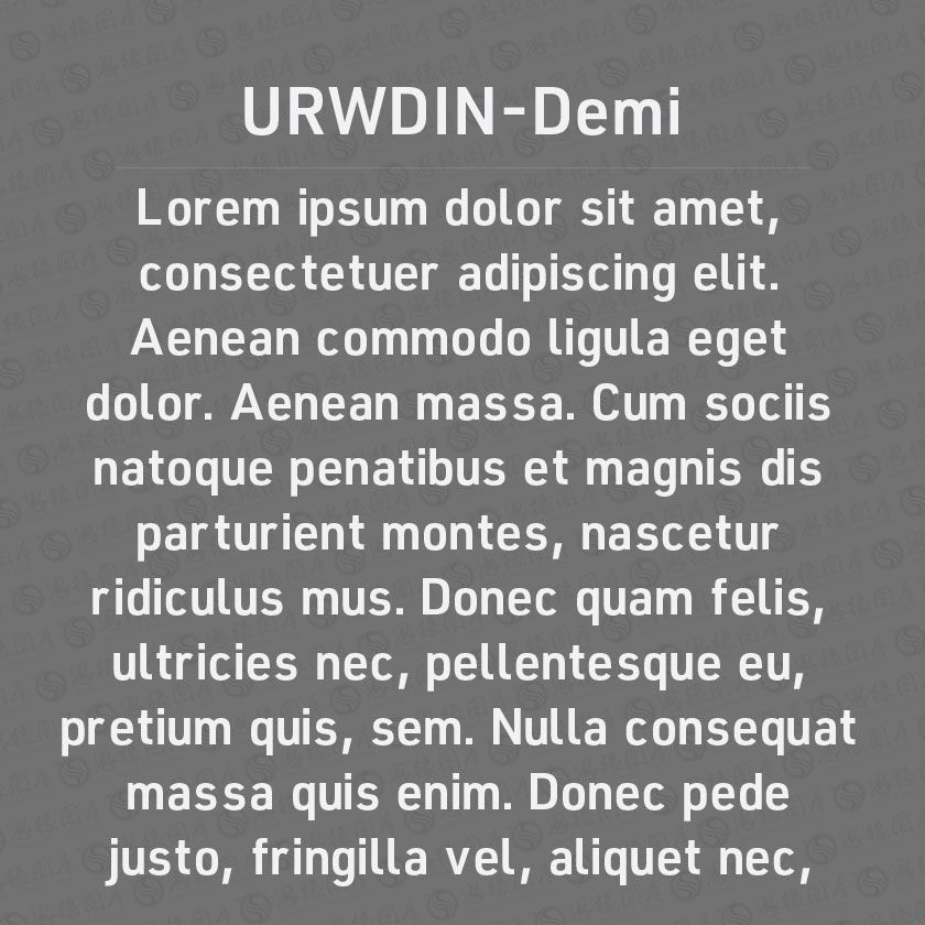 URWDIN-Demi(Ӣ)