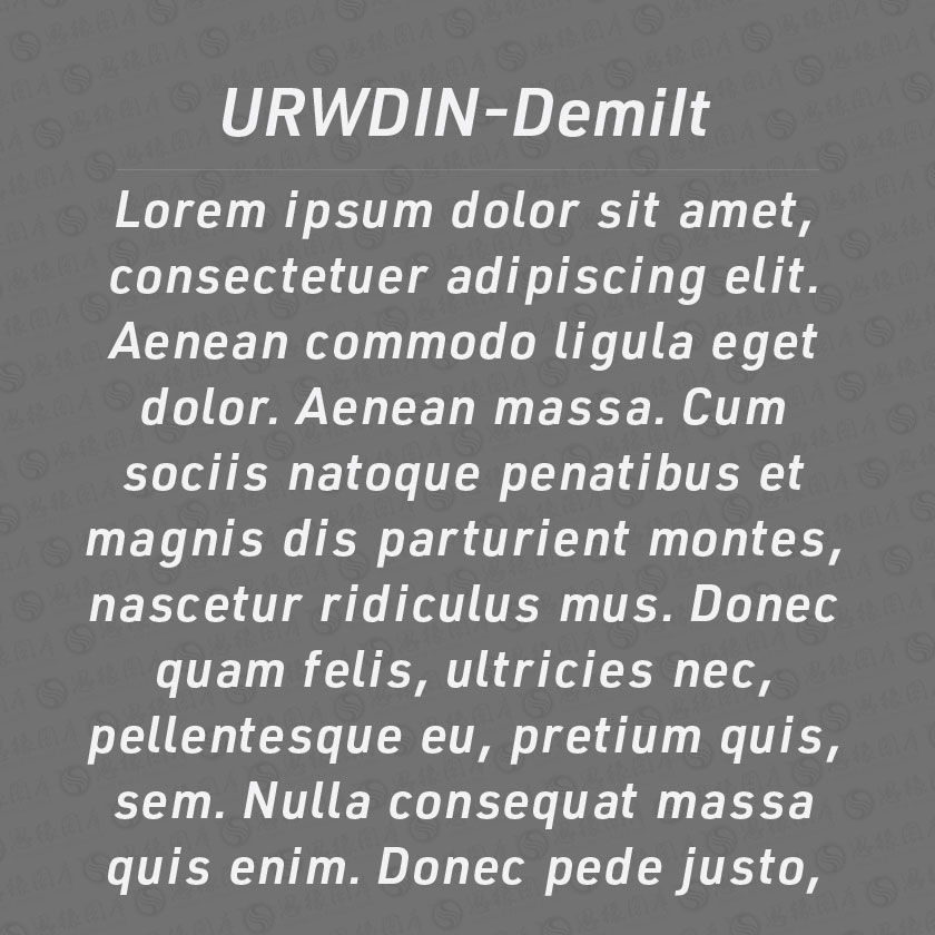 URWDIN-DemiItalic(Ӣ)