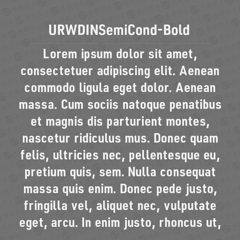 URWDINSC-Bold(Ӣ)