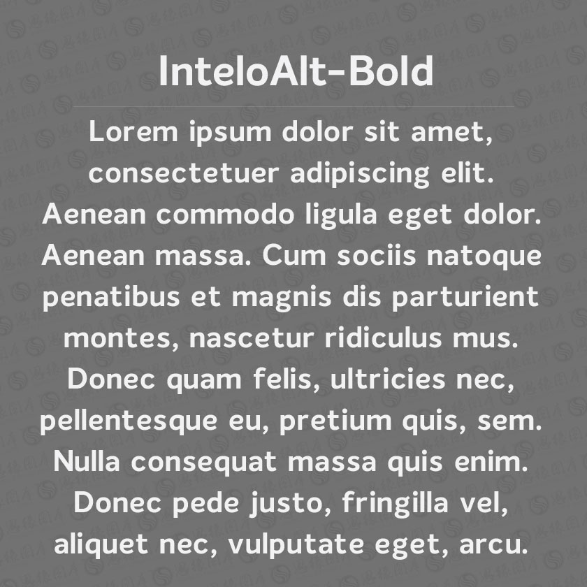 InteloAlt-Bold(Ӣ)
