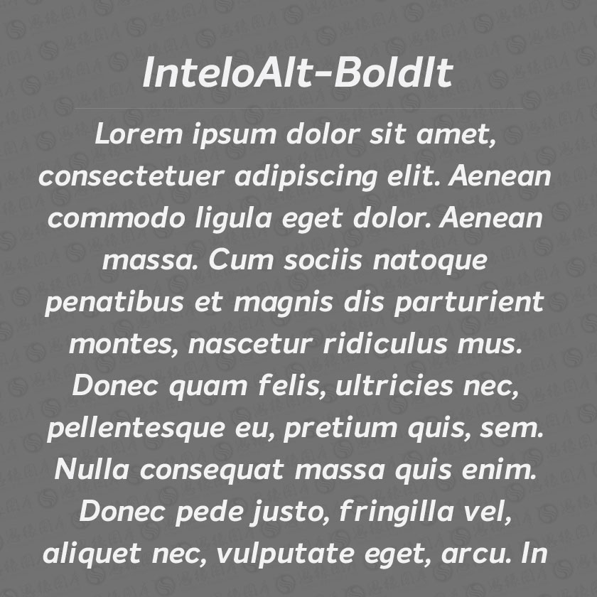 InteloAlt-BoldItalic(Ӣ)