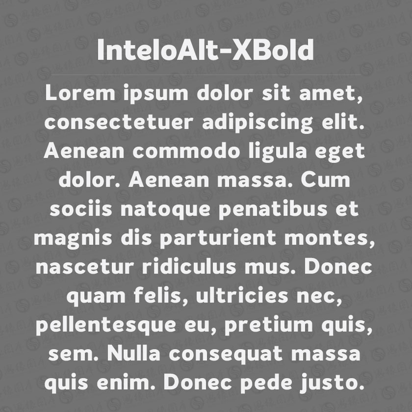 InteloAlt-ExtraBold(Ӣ)