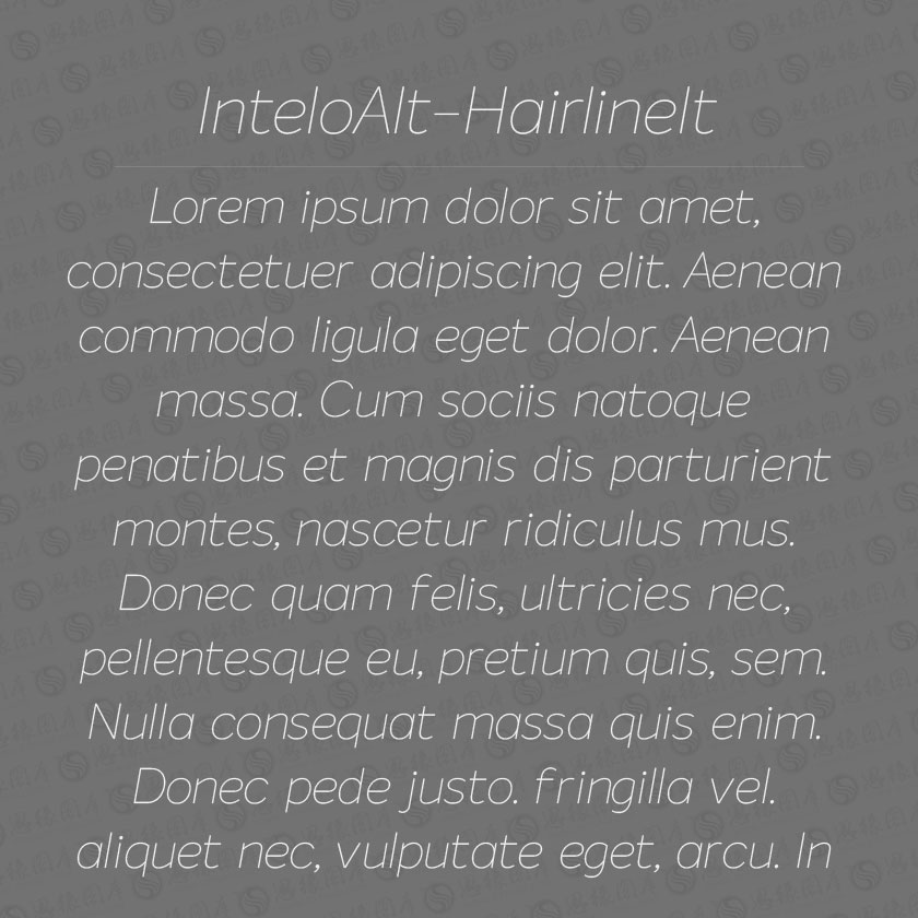 InteloAlt-HairlineItalic(Ӣ)