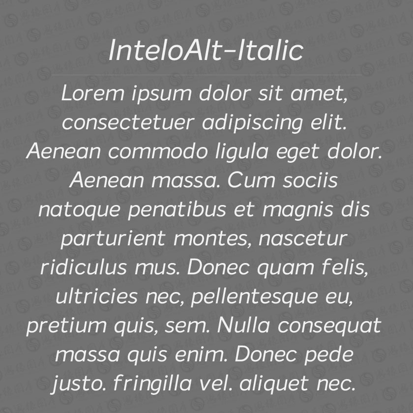 InteloAlt-Italic(Ӣ)