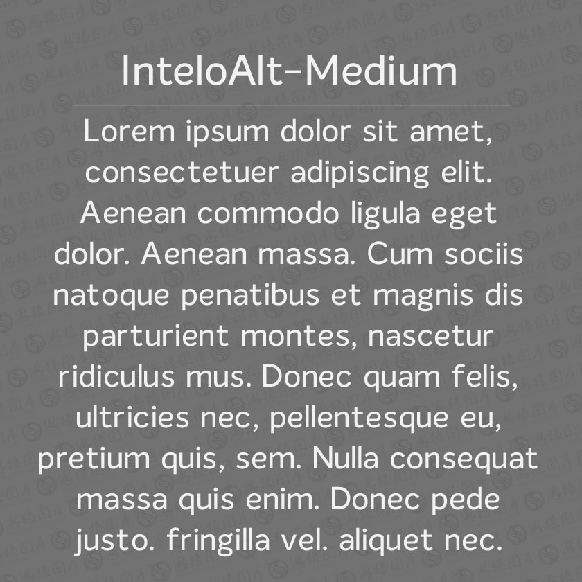 InteloAlt-Medium(Ӣ)