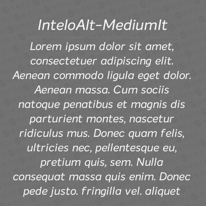 InteloAlt-MediumItalic(Ӣ)