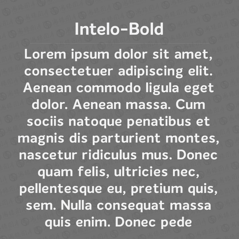 Intelo-Bold(Ӣ)