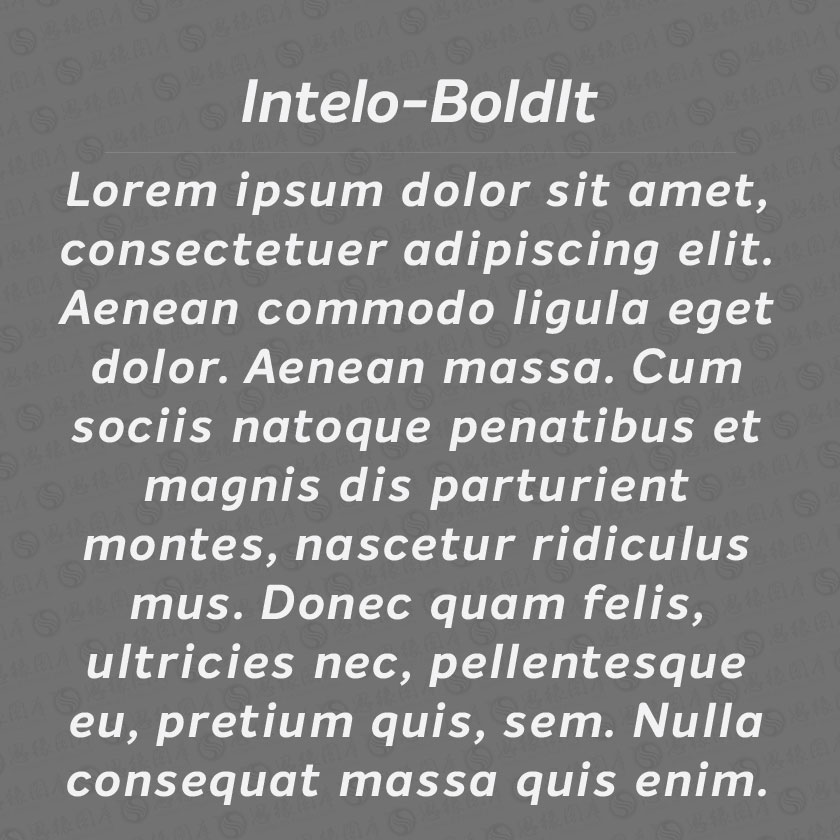 Intelo-BoldItalic(Ӣ)