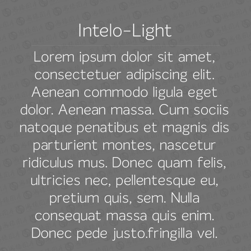 Intelo-Light(Ӣ)