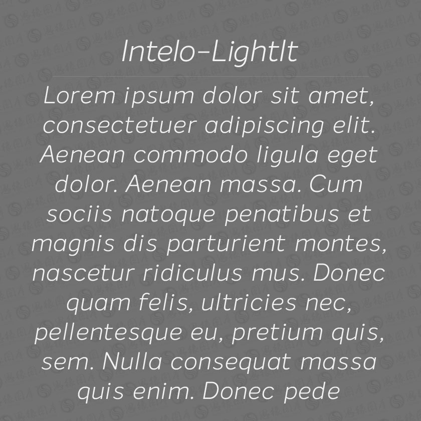 Intelo-LightItalic(Ӣ)