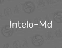 Intelo-Medium(Ӣ)