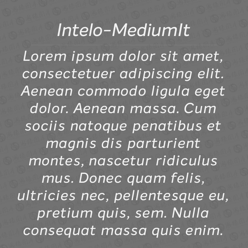 Intelo-MediumItalic(Ӣ)