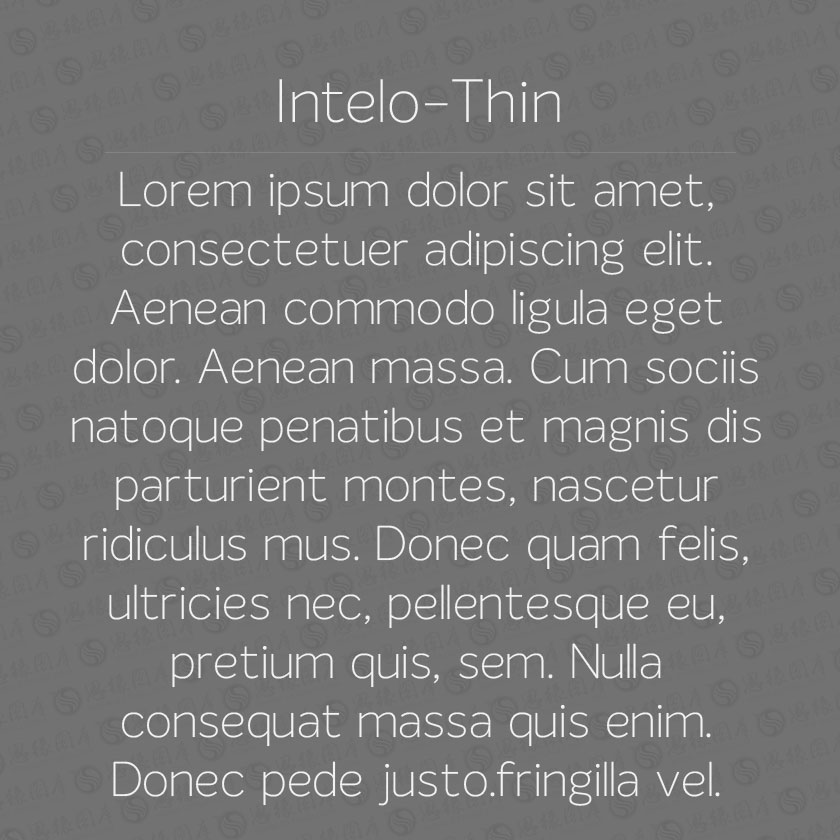 Intelo-Thin(Ӣ)