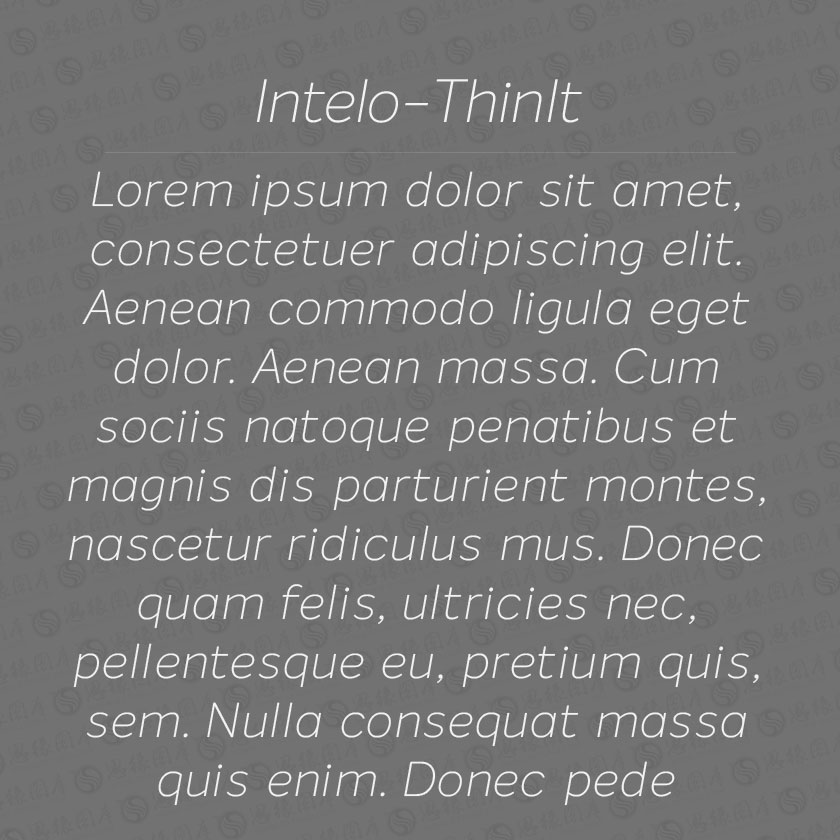 Intelo-ThinItalic(Ӣ)