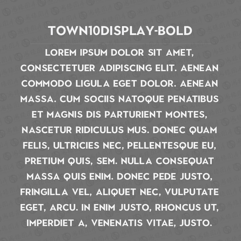 Town10Display-Bold(Ӣ)