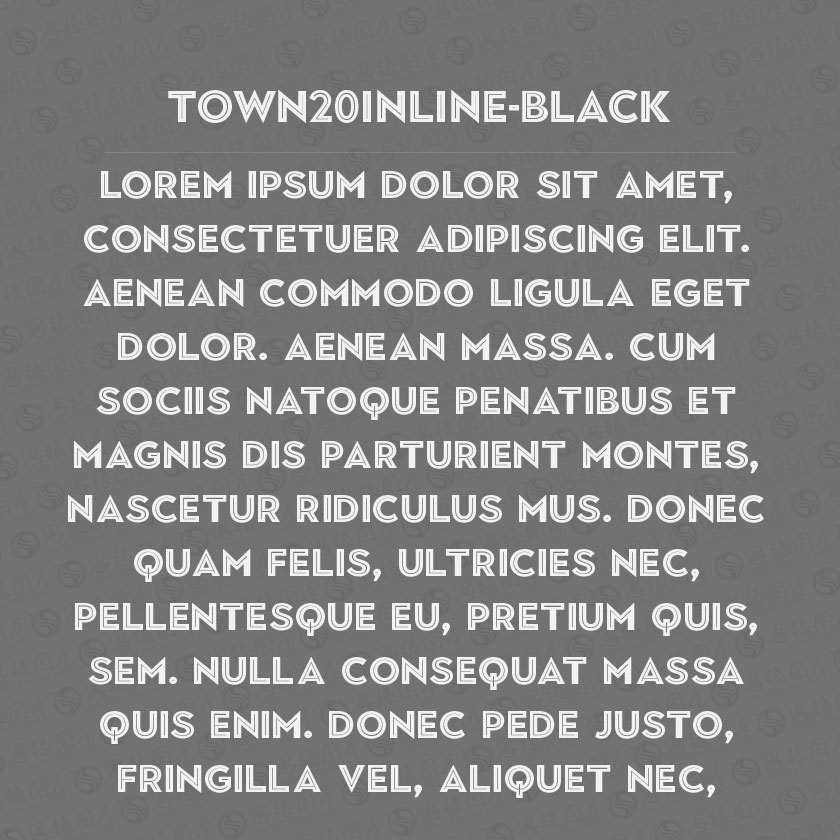 Town20Inline-Black(Ӣ)