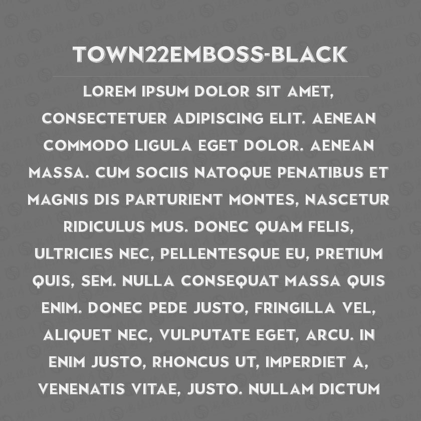 Town22Emboss-Black(Ӣ)