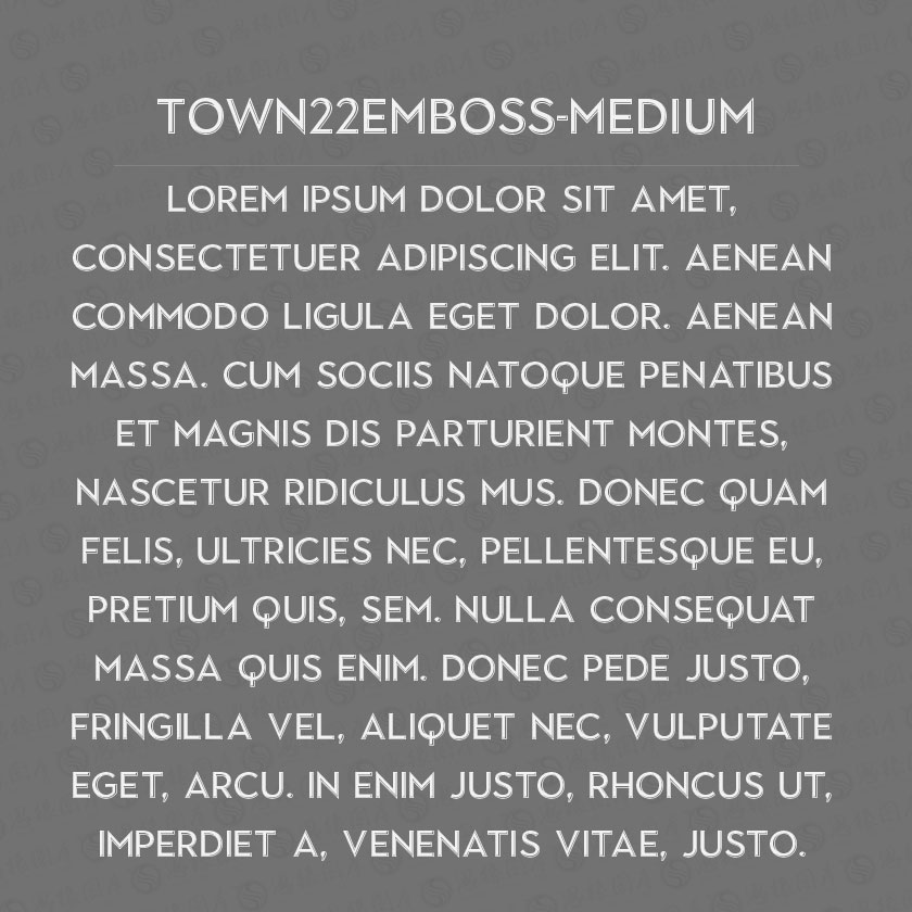 Town22Emboss-Medium(Ӣ)