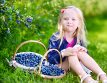 兩籃子藍莓旁的小女孩高清圖片