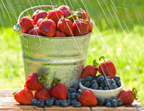 草莓与桶里的蓝莓摄影高清图片
