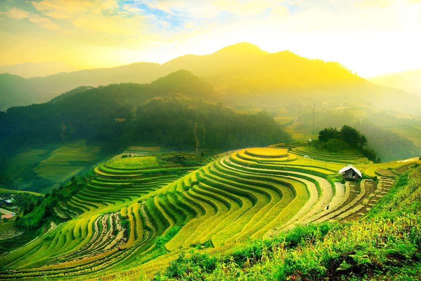 山间梯田自然风景逆光摄影图片